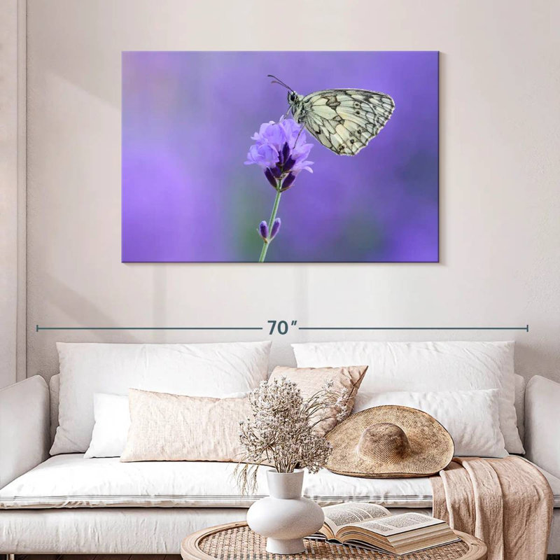 Papillon blanc marbré Brampt, H 30 po x l 45 po