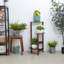Simonne Plant Stand-598124899