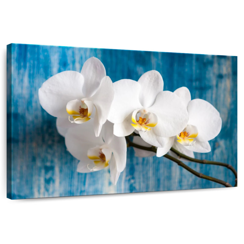 Harnek White Orchid Flower