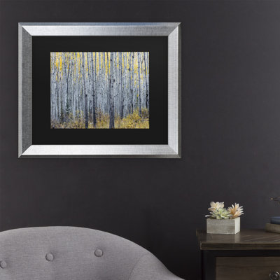 «Forest of Aspen Trees» par Pierre Leclerc - reproduction de photo sur toile encadrée