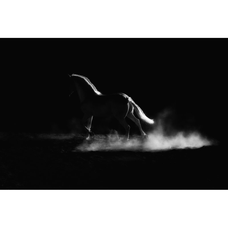 Highlighted Outline Of A Running Horse. Low Key, Black And White Artistic Image. - Wrapped Canvas Print