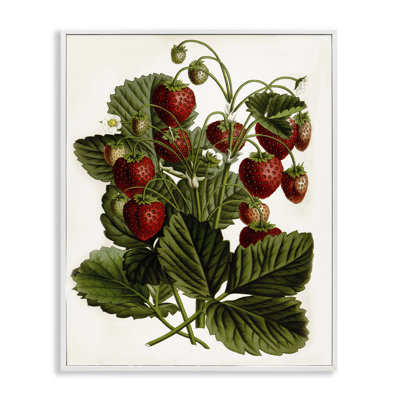 Étude de fraise par lettré et doublé