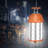 Adyline 6 - Light LED Outdoor Pendant