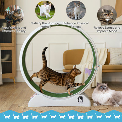 Plastic Cat Exercise Wheel With Interactive Toy For Indoor Cats With Replaceable Runway And Safety Lock