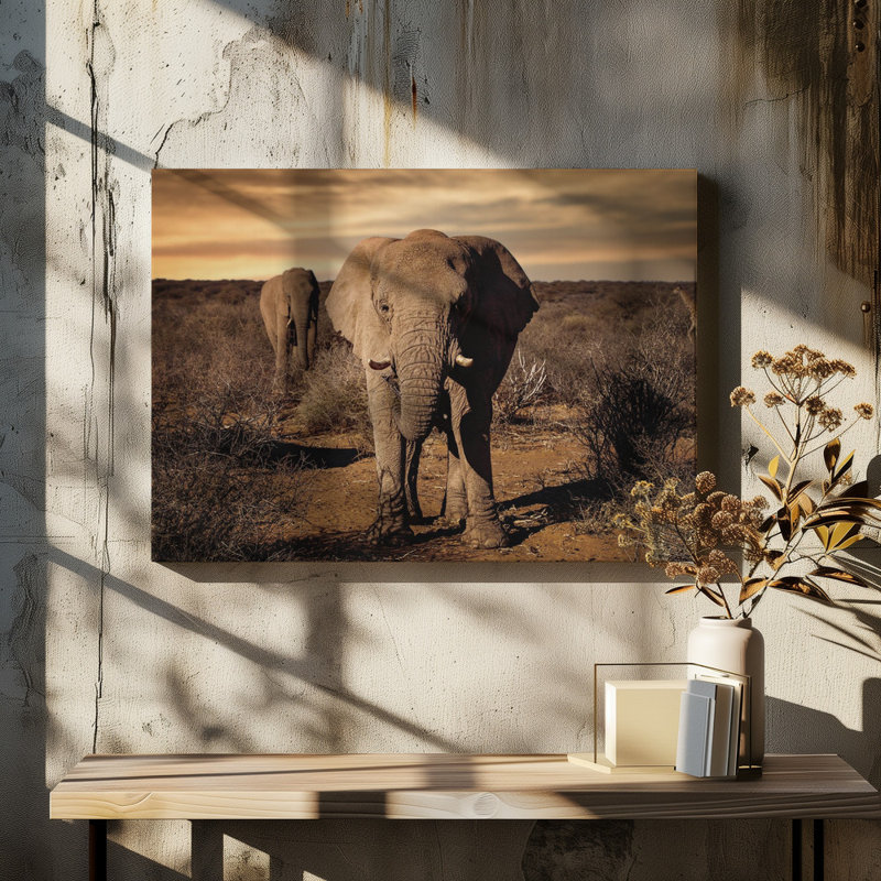 Wrapped Canvas Print, 60.96 cm H x 91.44 cm W