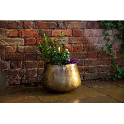 Pelaez Metal Pot Planter