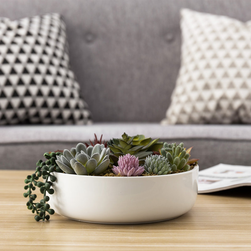 Plante grasse artificielle 1,8 po en pot