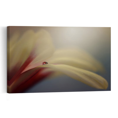 Red Ladybug Petal Delicate Peaceful Serene Ladybug Flower Nature Wall Art Print by Edy Pamungkas - Print