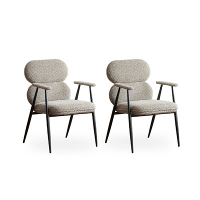 Italian Minimalist Teddy Velvet Dining Chair With Armrests And Backrests