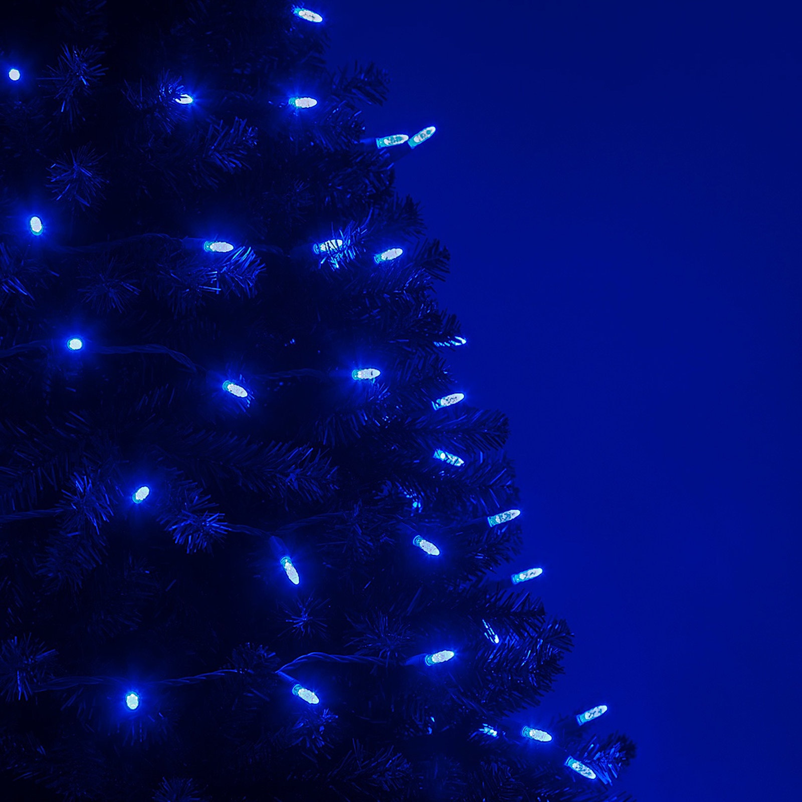 24' 70-Light LED Christmas String Lights, Blue