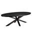 Basile Oval Dining Table