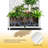 Metal Planter Wall with Trellis and Wheels, Mobile Outdoor Elevated Garden Bed, Dual-Purpose for Privacy Decoration and Planting, with Drainage Holes, for Climbing Plants, Vegetables, and Vining Flowers -1907354280-1907354283