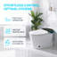Toilette moderne et intelligente avec bidet, coup de pied de pied, siège chauffant et chasse d'eau automatique, conforme Ada-128993262