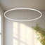 Cerchio 1 - Light LED Unique/Statement Pendant-269815027-356472329