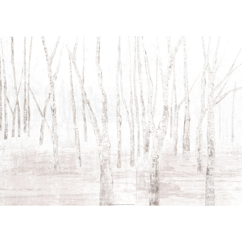 Choppy Birch Trees - Wrapped Canvas Print, 30cm H x 46cm W x 3.8cm D