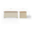 Kerry Blanket Chest-34962290