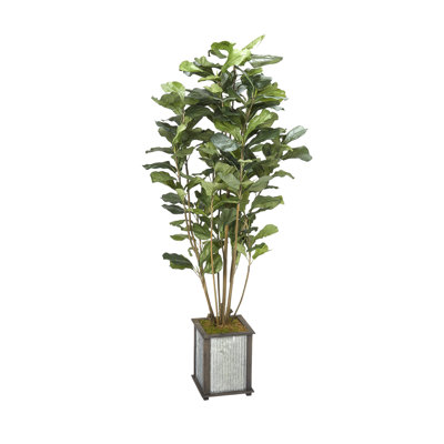 66 " H Faux Fiddle Leaf Fig Tree in Solid Wood Planter