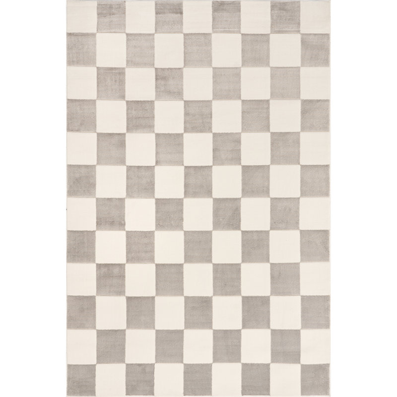 Zhuri Checkered Machine Washable Area Rug, Rectangle 8' x 10'