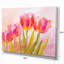 Tulipes rouges, impression sur toile tendue-29506914