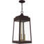 3 Light Outdoor Pendant Lantern with Clear Glass Shade-101230809-101230810
