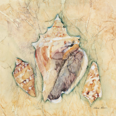 Shells III by Cheri Blum