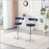 Blue Seat/Silver Frame
