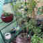 Customer photo 2 of 3