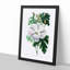 White Hibiscus Flower - Framed Print-55641268-55641269