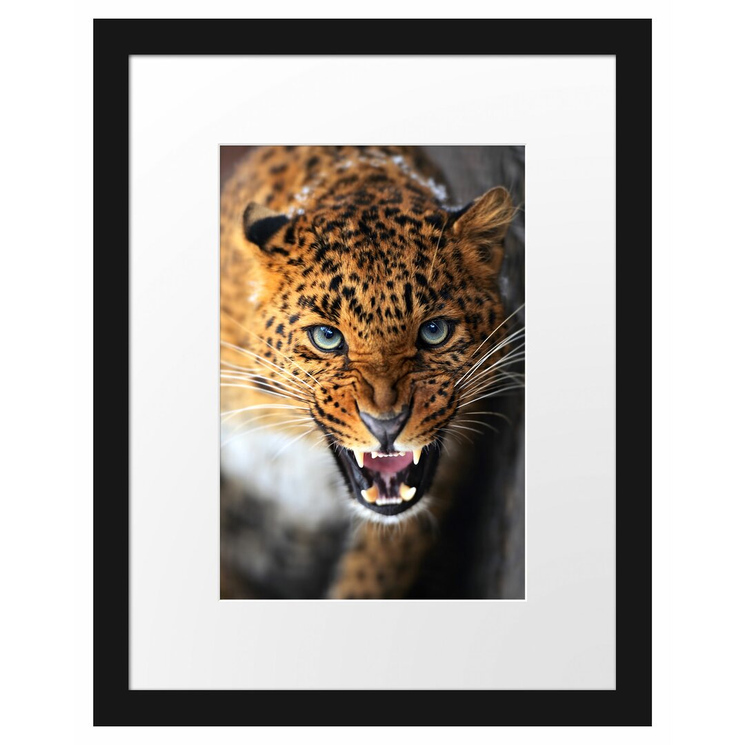 Gerahmter Fotodruck Stalking Leopard