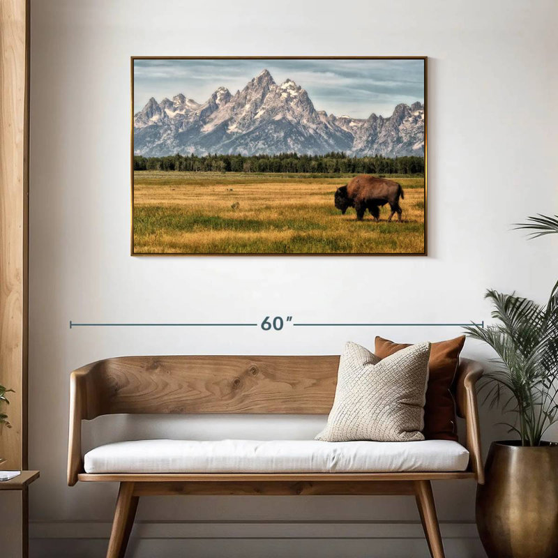 Bull Bison à Grand Teton, Cadre flottant doré, 43 po x 29 po