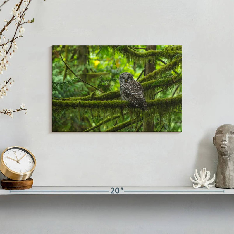 Brampt Mossy Tree Owl, 8" H x 12" W