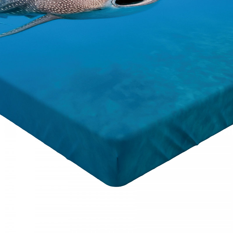 Microfiber Fitted Sheet, Twin Fitted Sheet