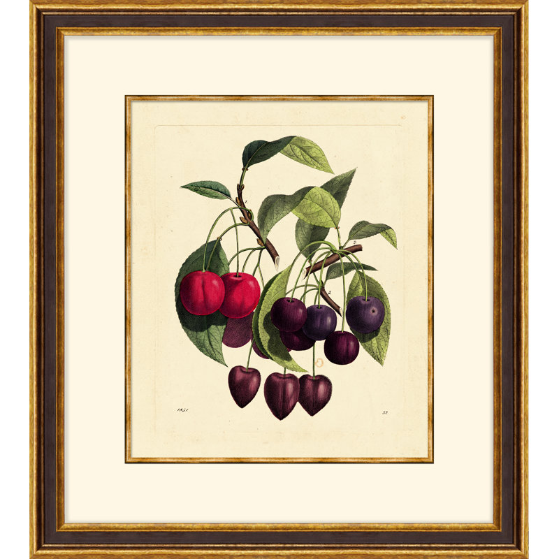 Vivid Berries Print