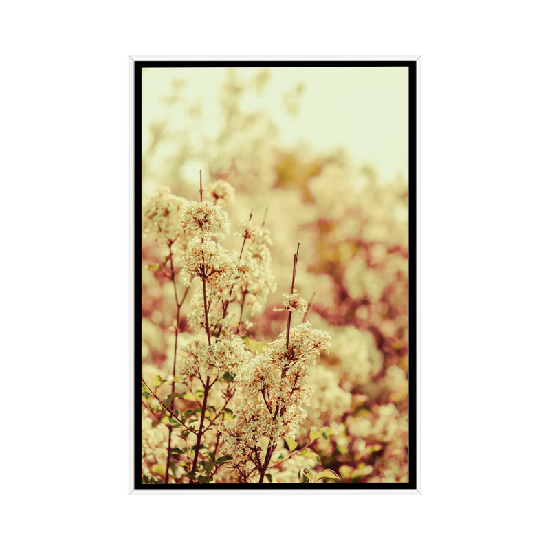 Hush My Love by Olivia Joy StClaire - Floater Frame Print on Canvas