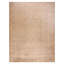 Antique Indian Amritsar Rug
