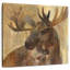 Brampt Moose Into The Wild