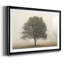 Arbres dans le brouillard I-190596852-190596859