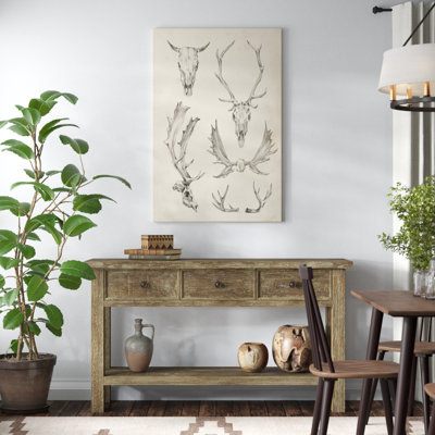 Skull and Antler Study II by Ethan Harper - Graphic Art Print