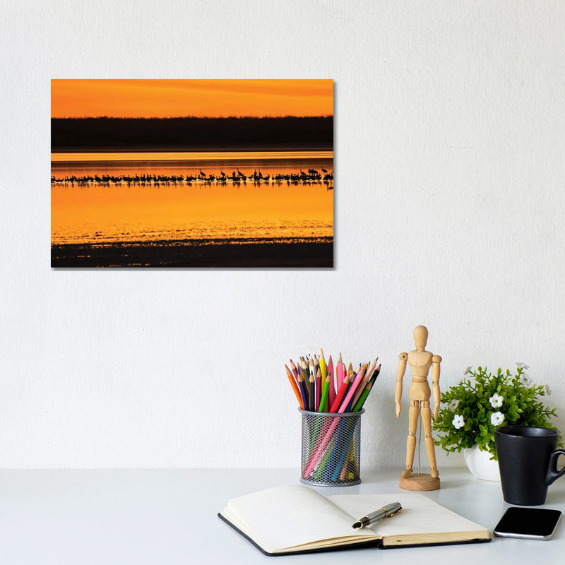 Snow Geese And Sandhill Cranes At The Roost by Larry Ditto - Wrapped Canvas Print, 20.32 cm H x 30.48 cm W