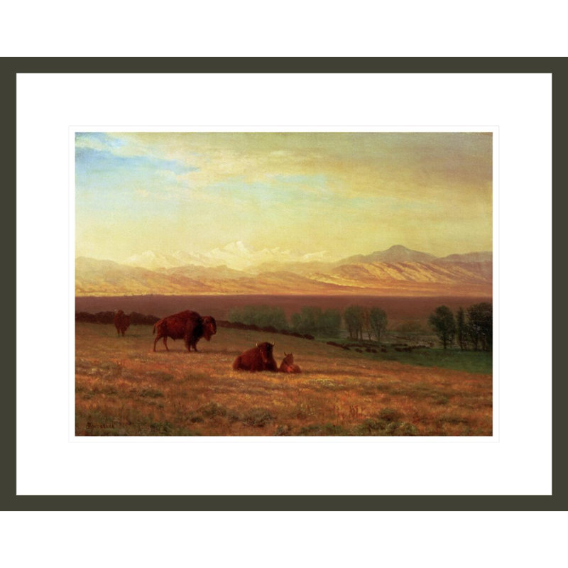 «Buffalo on the Plains» par Albert Bierstadt - Impression sur toile, H 17,39 po x l 21,75 po