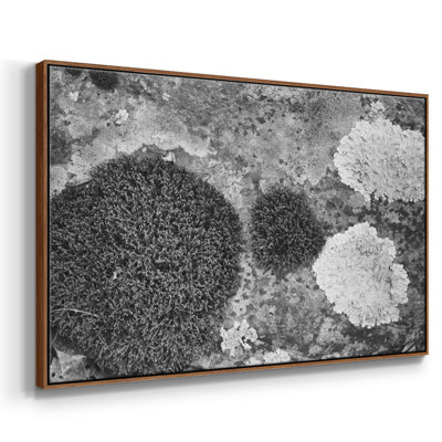 Found Textures XIX sur toile de qualité supérieure - prête à être accrochée