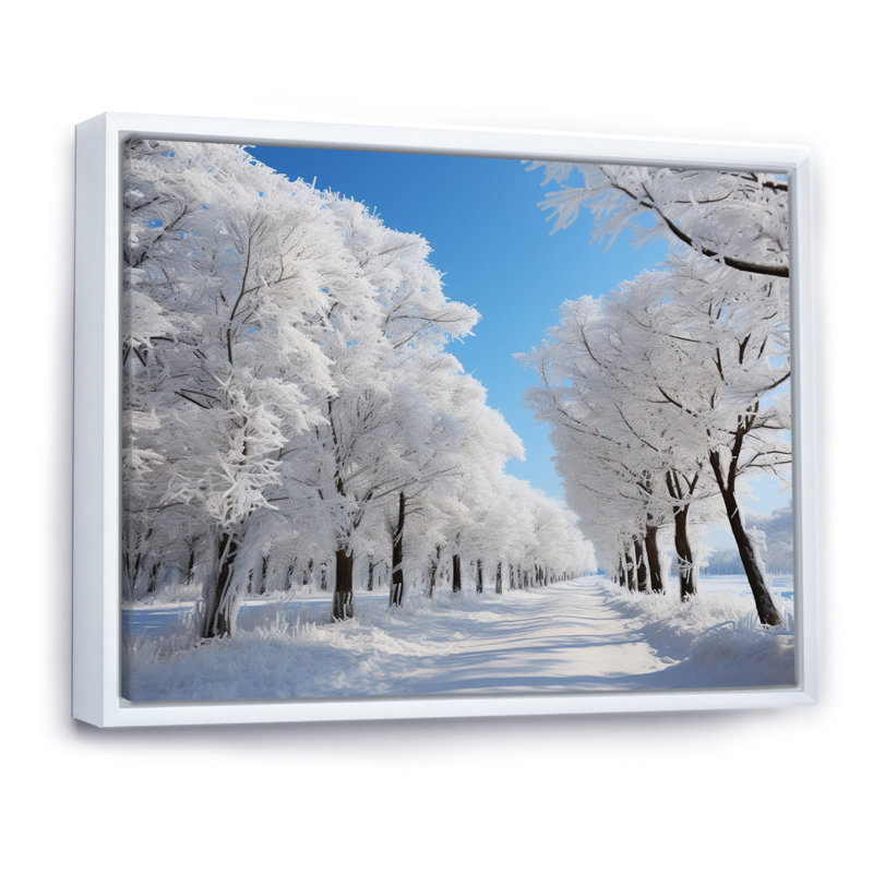 «Bronti Winter Frosty Canopy II», reproduction sur toile, H 34 po x l 44 po x P 1,5 po, Cadre flottant blanc