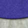Kid Essentials Endurance Area Rug