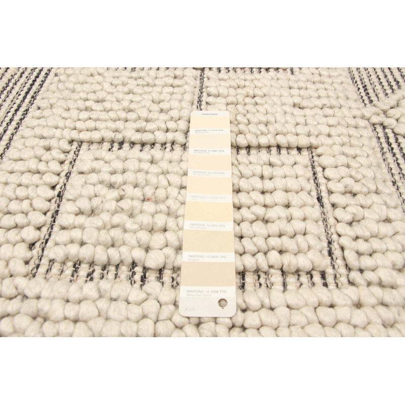 Tapis unique en laine nouvel âge 4 pi 10 po x 5 pi Haspel
