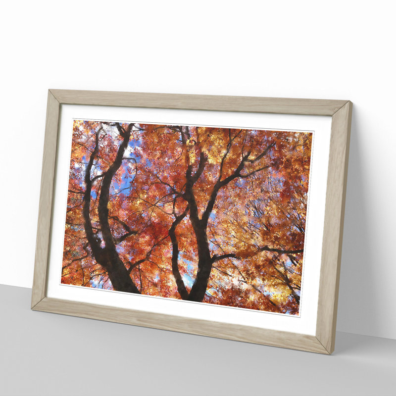 Maple Tree Vol.2 - Picture Frame Graphic Art, Oak Framed, 27cm H x 36cm W x 2cm D