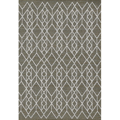 Indoor Rug