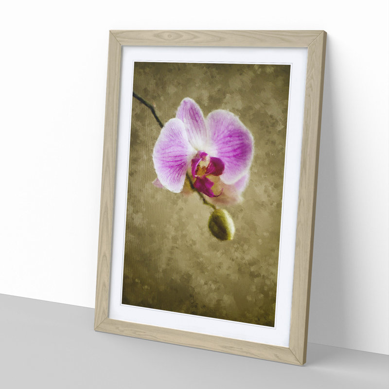 Orchid Flowers Vol.6 - Framed Print, 36cm H x 27cm W x 2cm D, Oak Framed