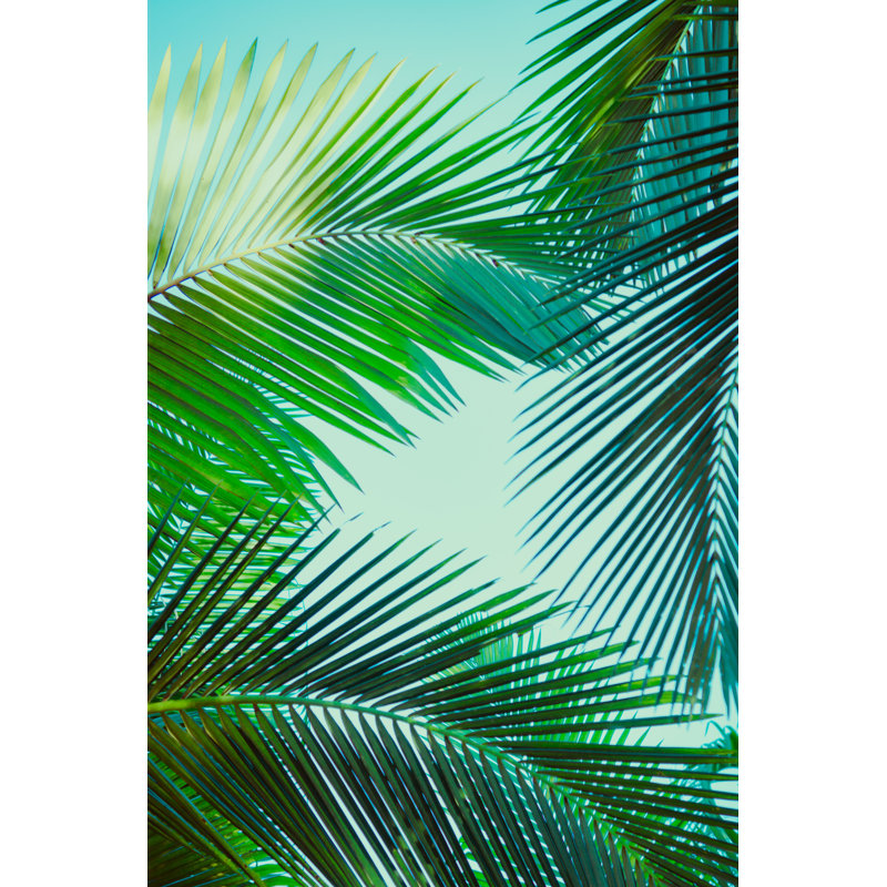 Northbridge Coconut Palm Tree par - Photographie de toile tendue, H 18 po x l 12 po
