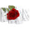 Harnek Rose sur une feuille de musique
