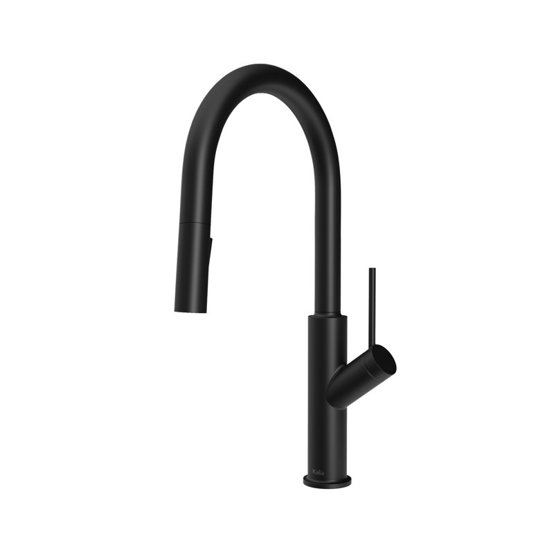 Robinet de cuisine à poignée simple Karismatik, Noir mat